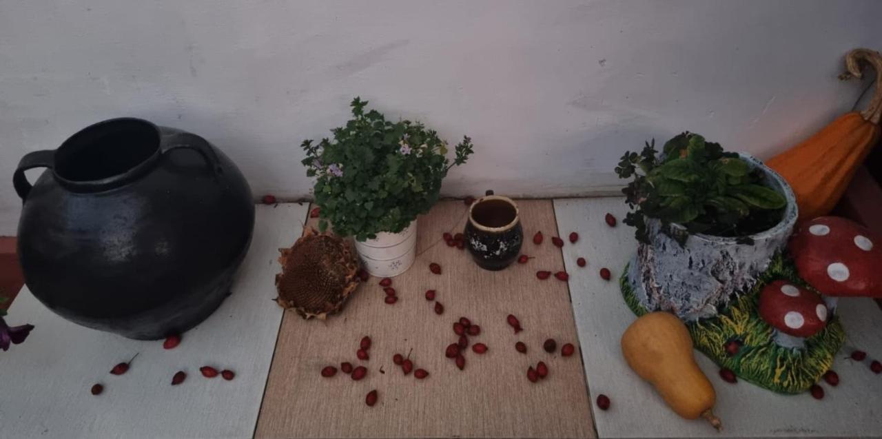 فيلا Casa Jeni Humulesti المظهر الخارجي الصورة
